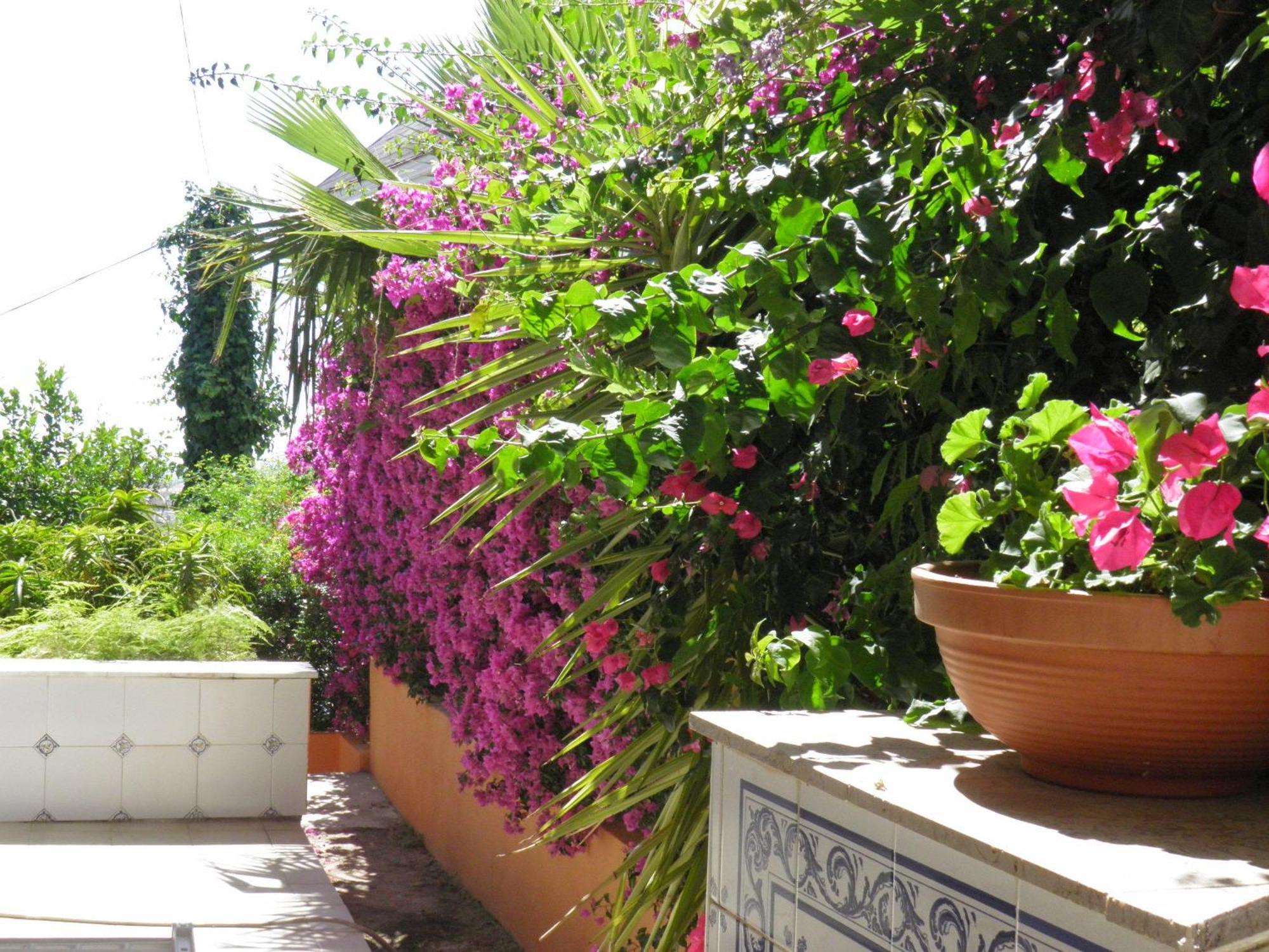 Corbera de Alcira Casa Rural La Torreta 아파트 외부 사진