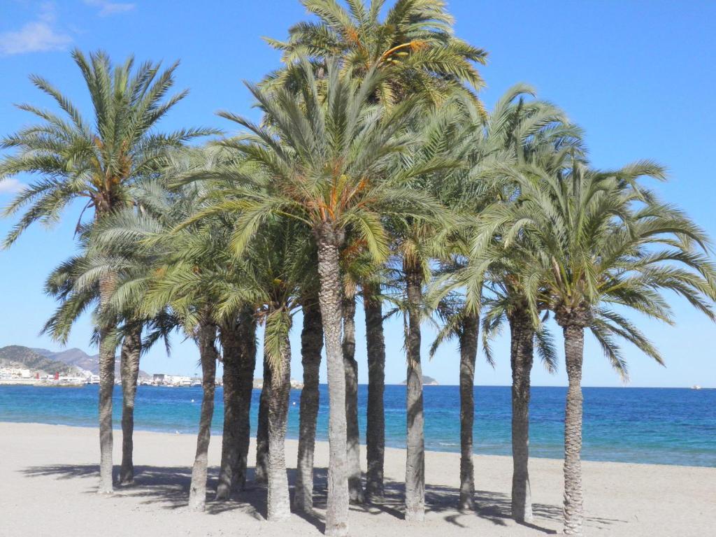 Corbera de Alcira Casa Rural La Torreta 아파트 객실 사진